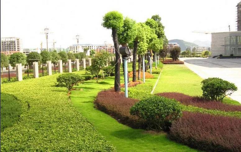 以園林綠化工程為基石，推進城市生態(tài)高質量發(fā)展